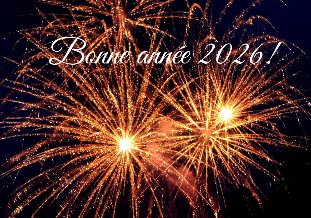 Meilleurs voeux pour cette nouvelle année 2026