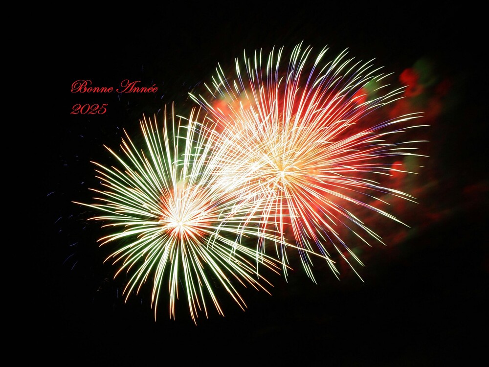 Bonne Année